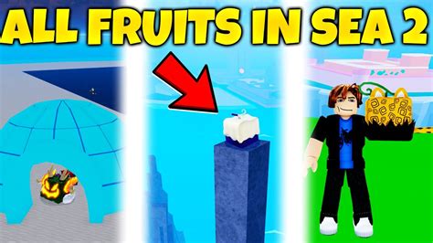In this area, there is an NPC Adventurer - a Quest Giver as well as Blox Fruits Dealer Cousin - whom you can try to purchase Blox Fruit from. . Fruit spawn locations blox fruits 2nd sea